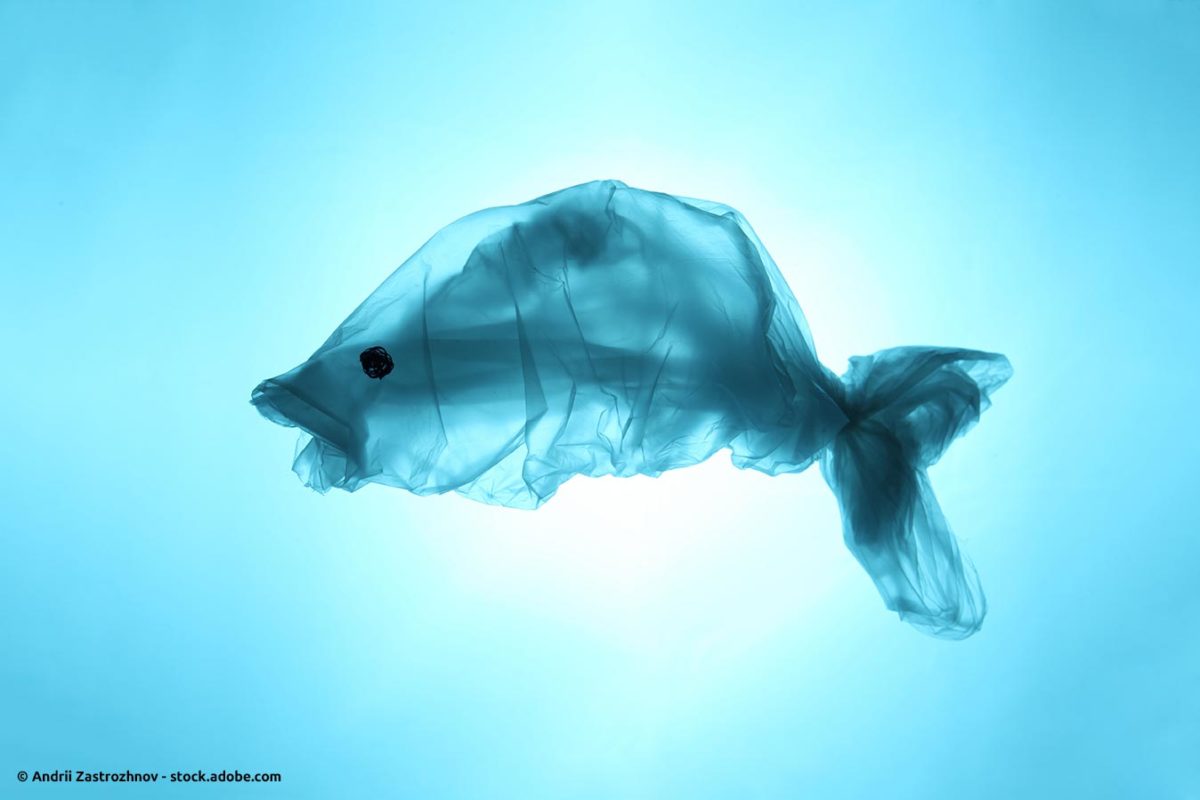Fisch aus Plastik im Meer