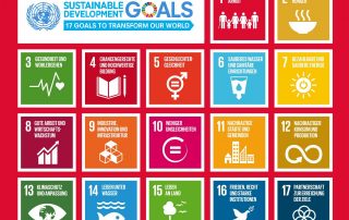 Nachhaltigkeit Unternehmen SDGs
