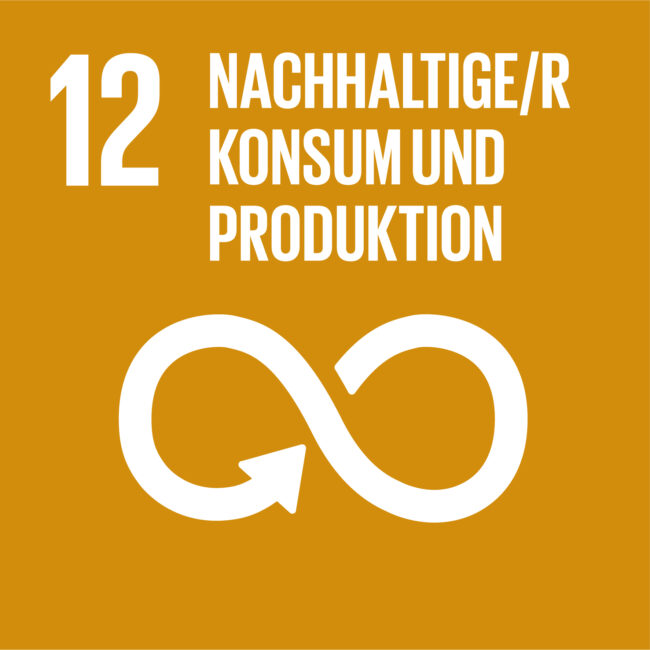SDG 12 deutsch