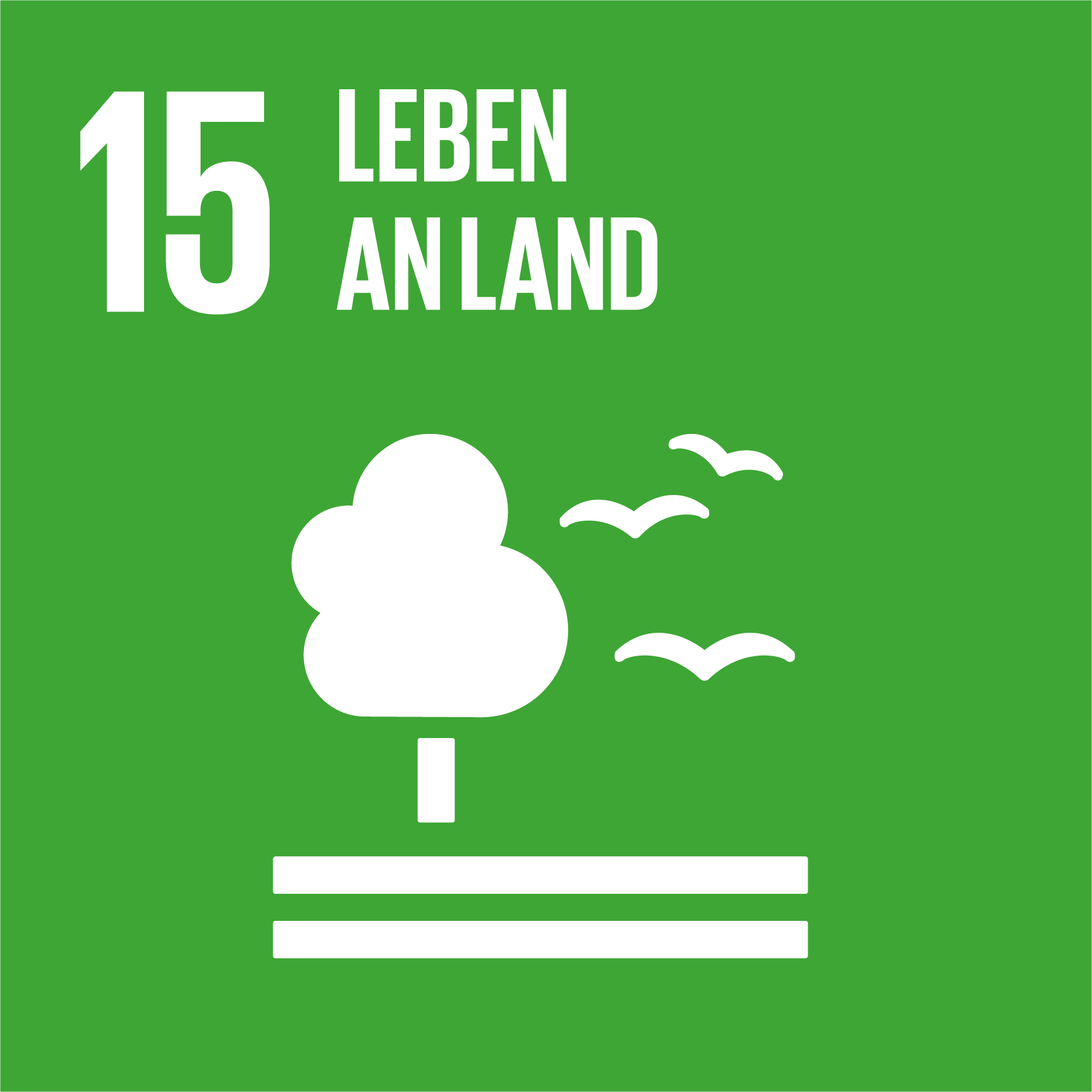 SDG 15 Leben an Land