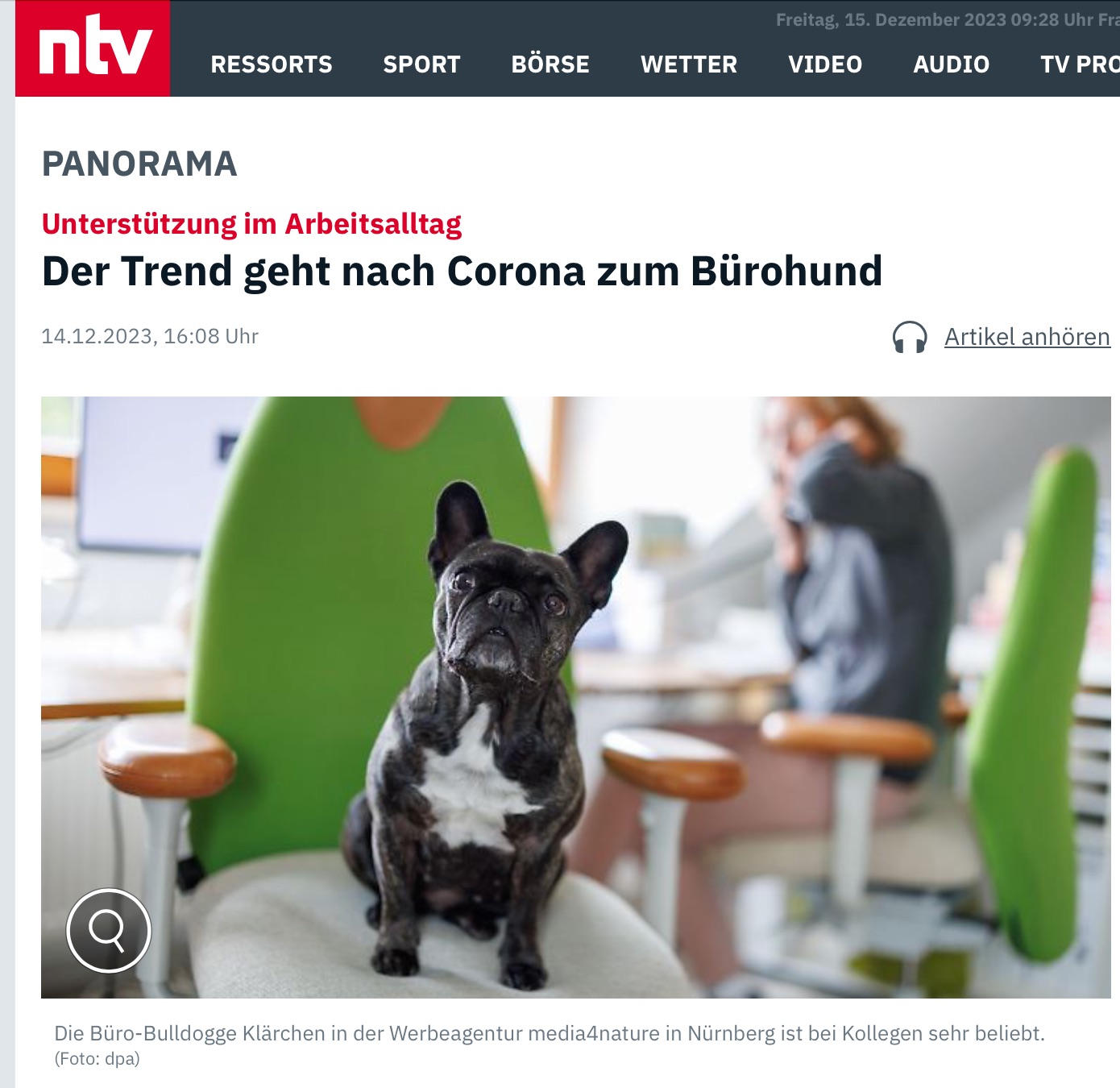 n-tv Bürohund Klärchen von media4nature