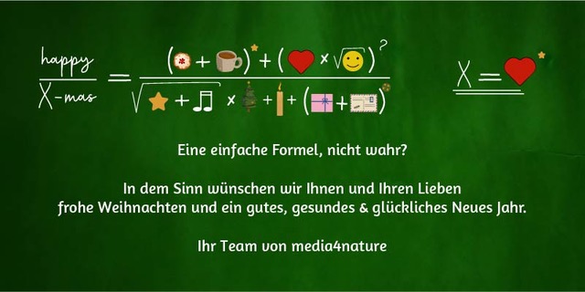 Weihnachtsgrüße media4nature Motiv 2024