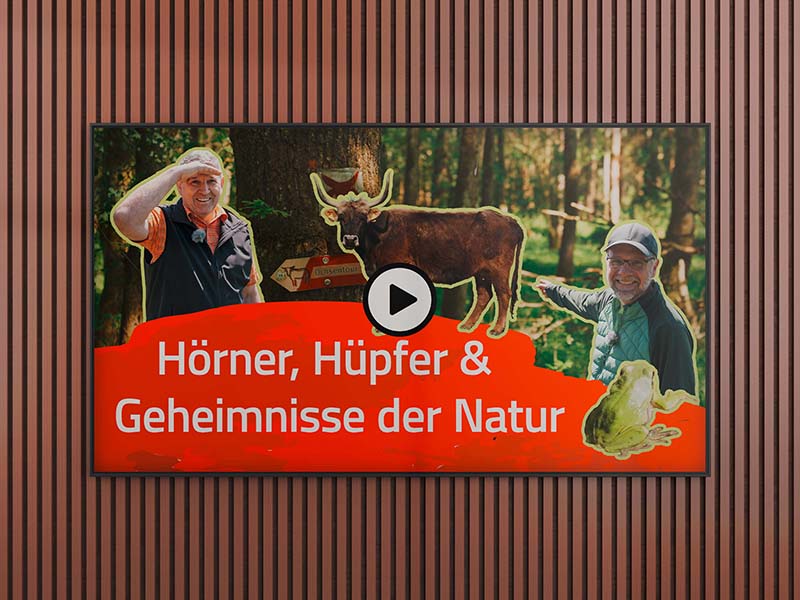 Referenz Video Grubenfelder Leonie