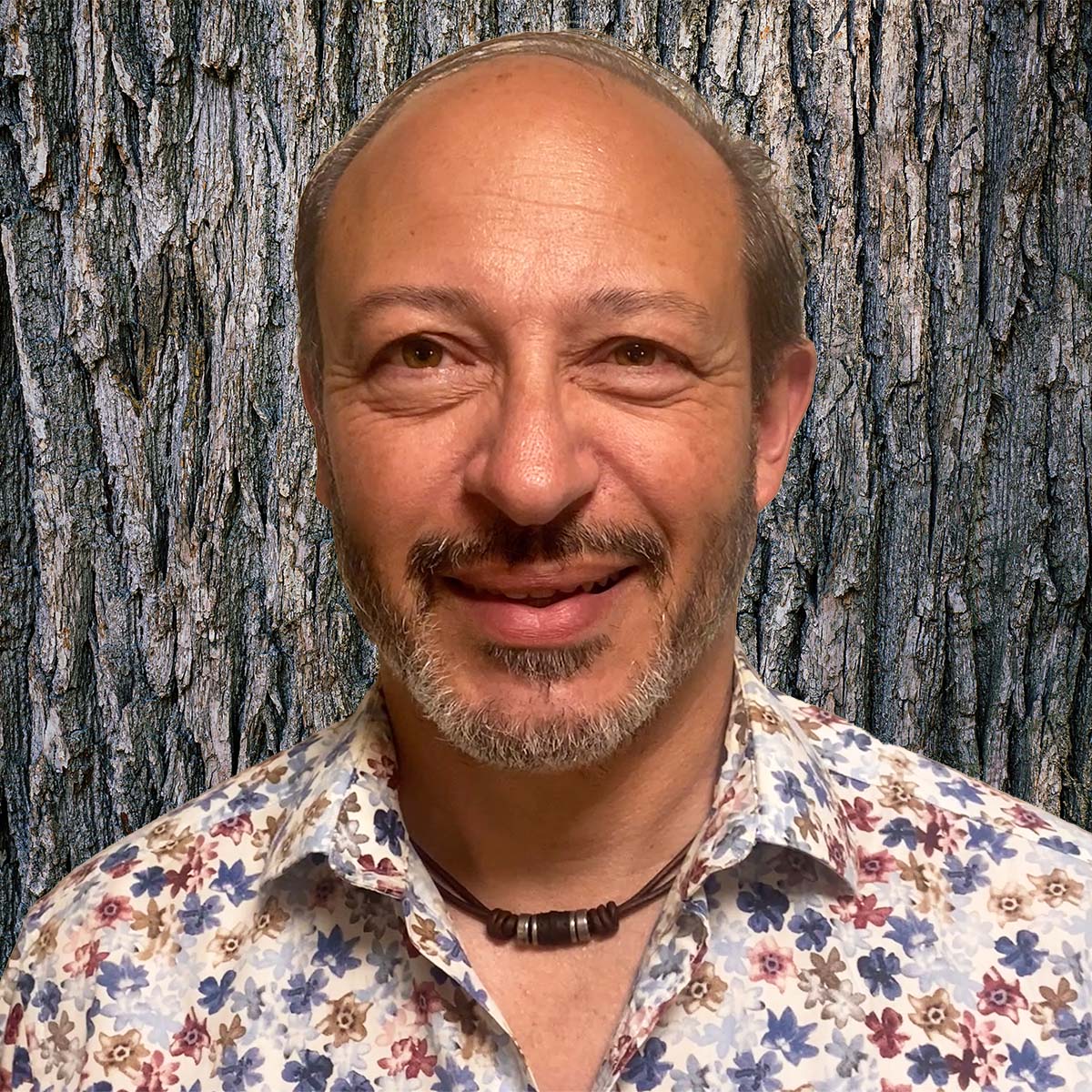 Sandro Casino